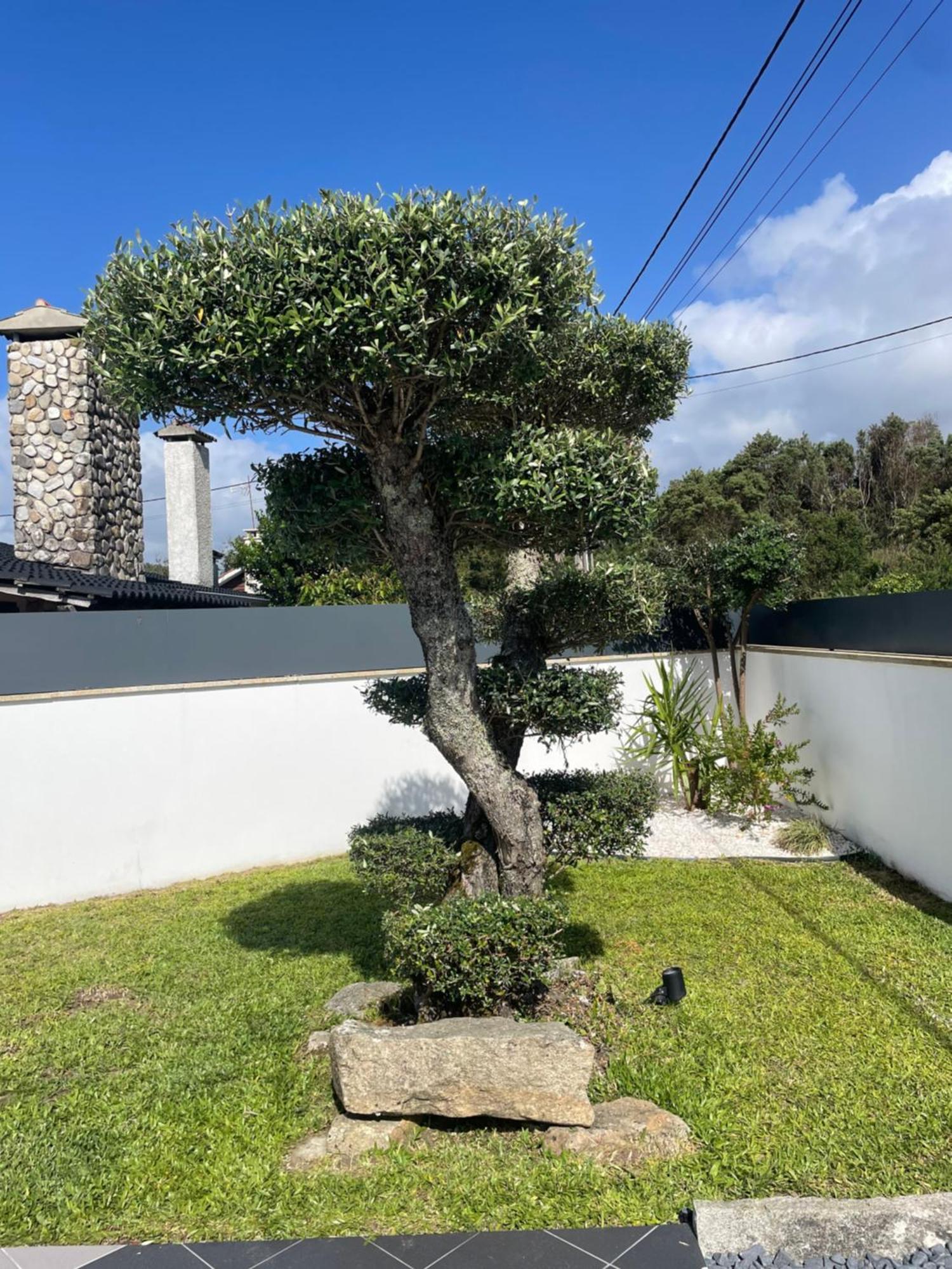Villa - Ancora - 300 Metres De L'Ocean Vila Praia de Ancora Bagian luar foto